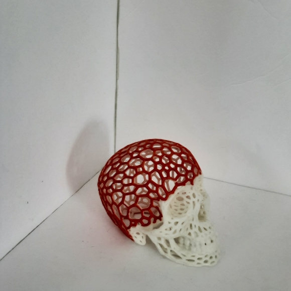 Skull - Picture 2 of 7